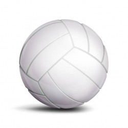 Volley Ball